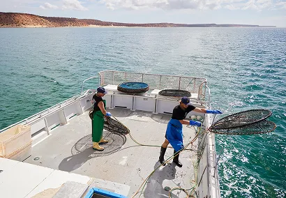Two individuals on a boat are working with large fishing nets over the clear blue water. One person is pulling up a net while the other prepares for the catch. The boat is surrounded by a surrounding shoreline and gentle waves.