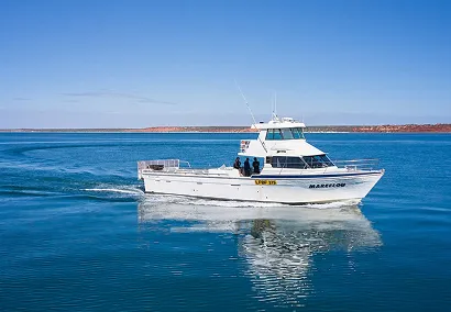 A white motorboat named "Mackerel" is cruising on calm blue waters. The boat features three individuals on board and leaves a wake behind, with a clear sky and distant red rock formations visible in the background.