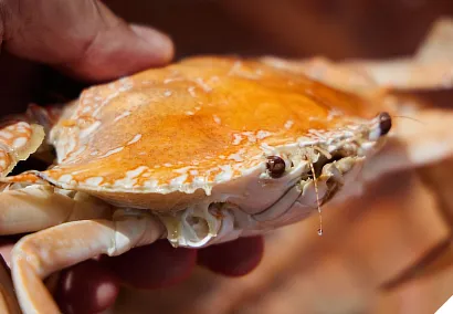 A person holds a cooked crab with a shiny, orange-brown shell. The crab's claws are visible, and the background is blurred, showing warm tones.
