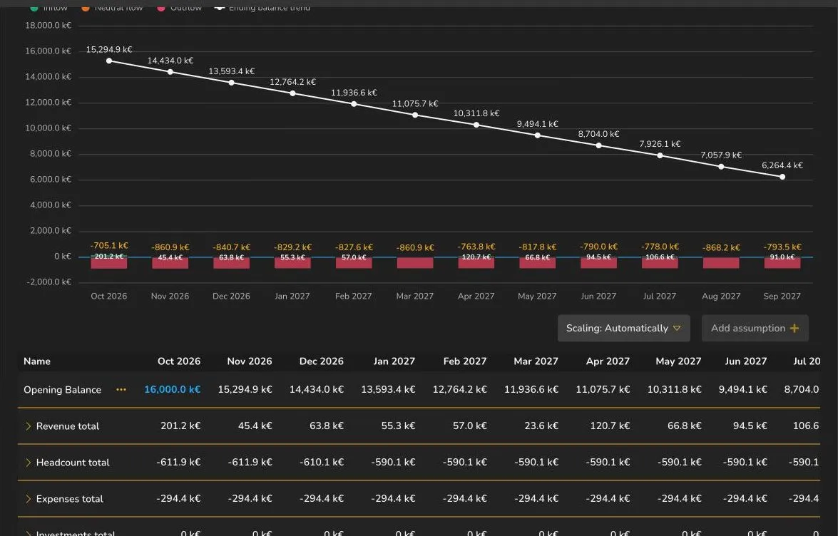 12-month liquidity plan with inflows, outflows and ending balance