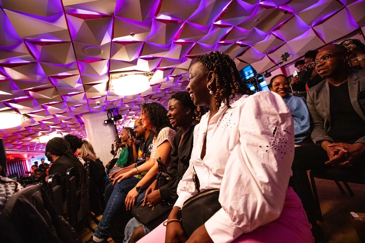 image of audience enjoying entertainment