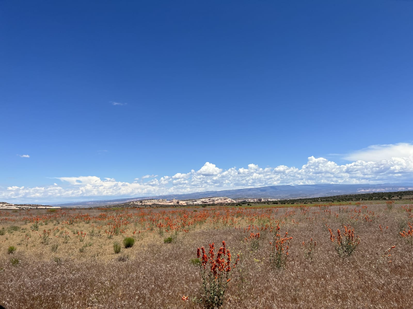 Trail gallery photo