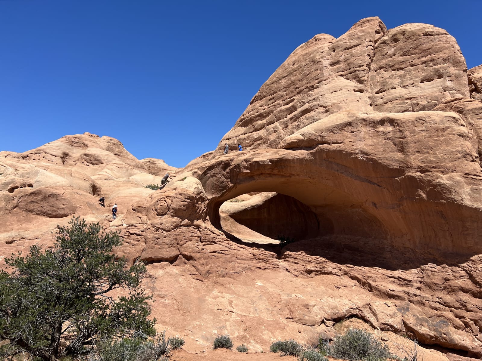 Trail gallery photo