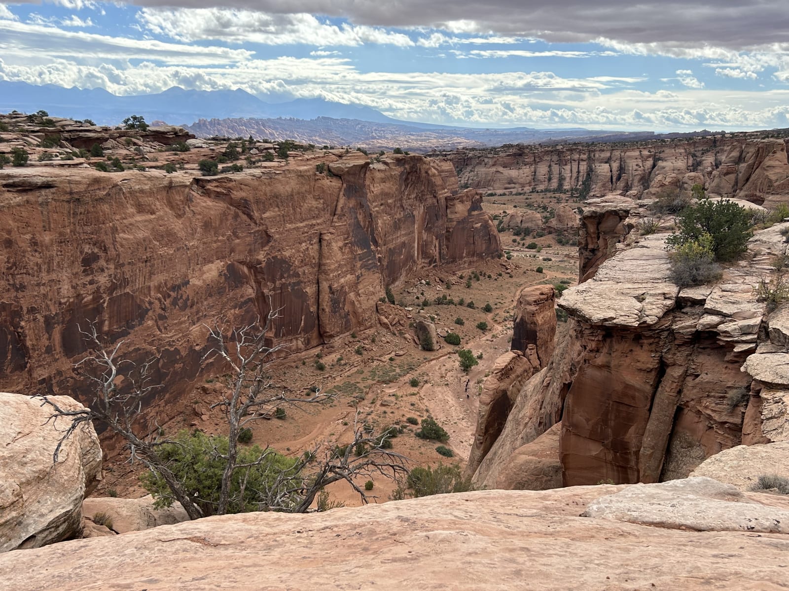 Trail gallery photo