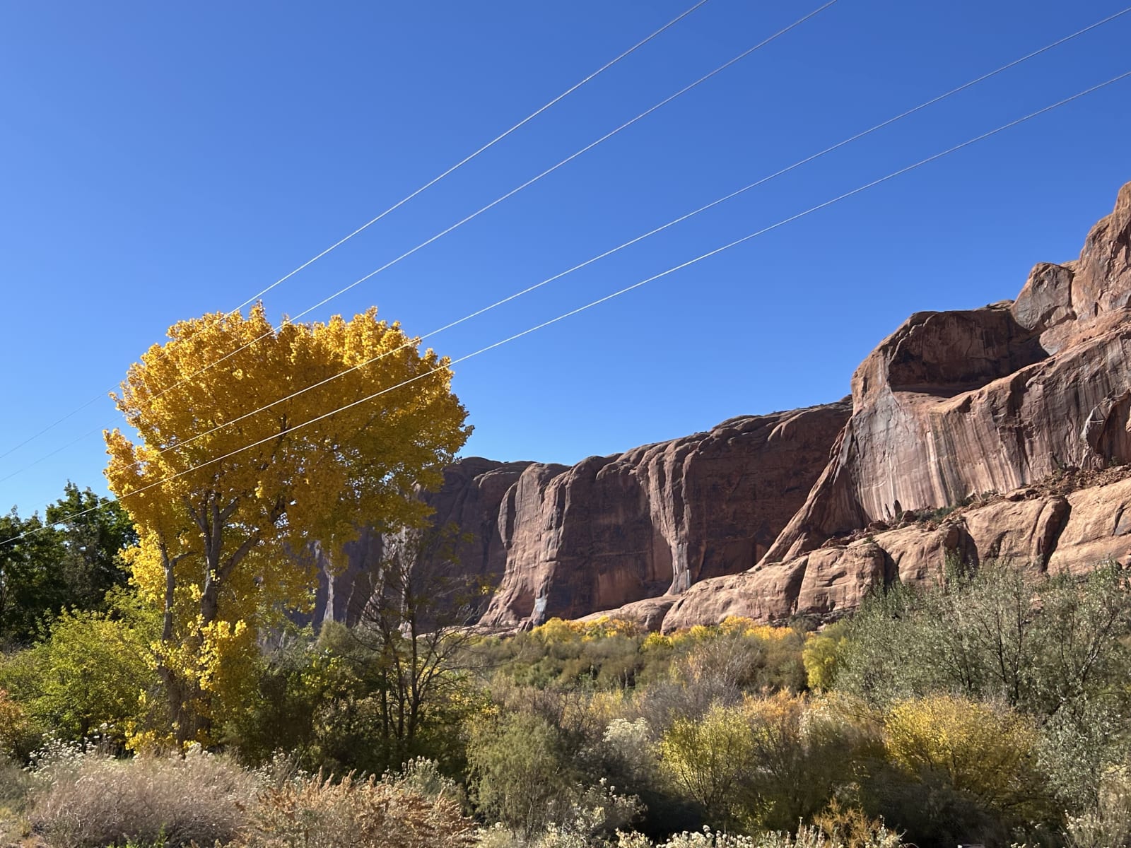 Trail gallery photo