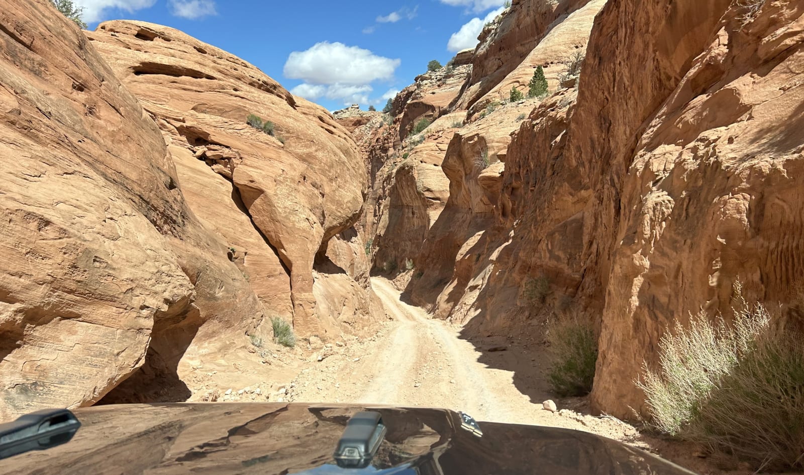Trail gallery photo