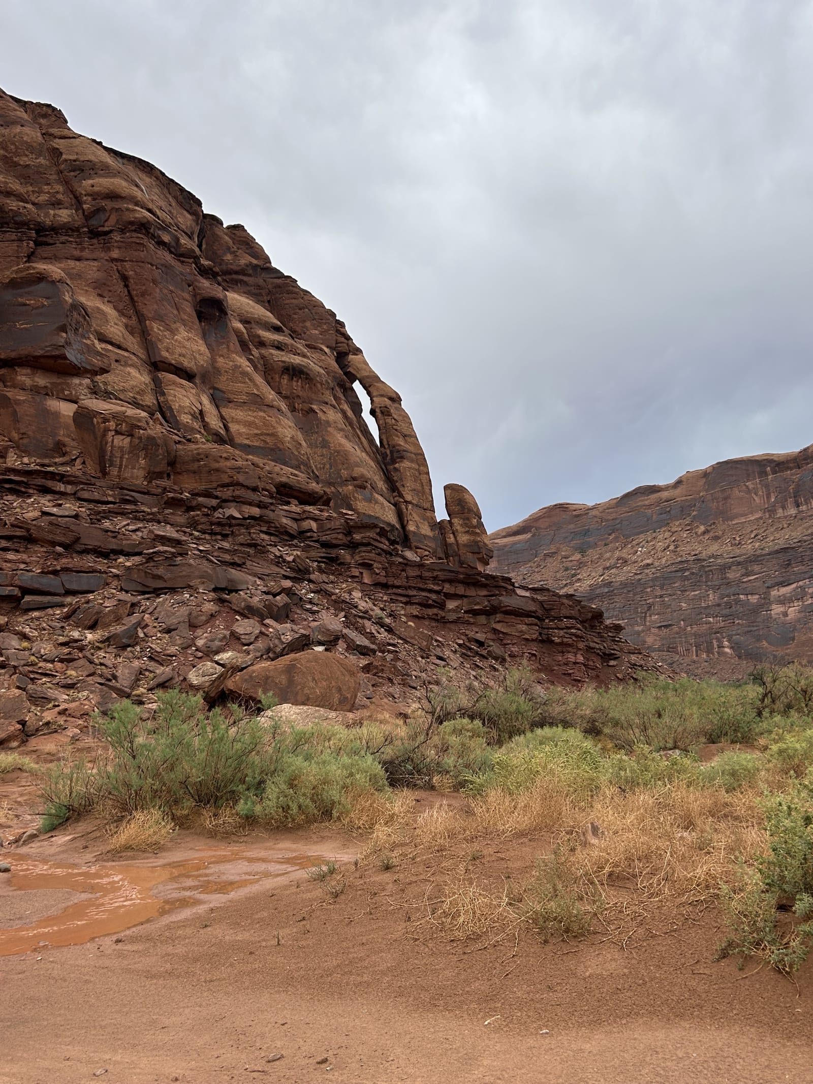 Trail gallery photo