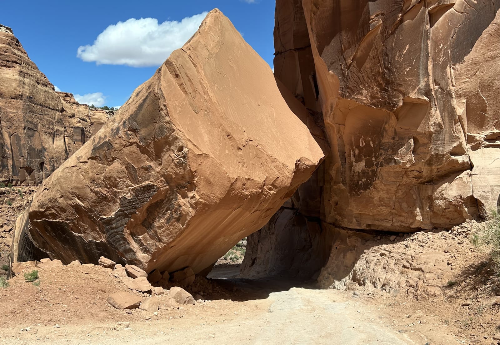 Trail gallery photo