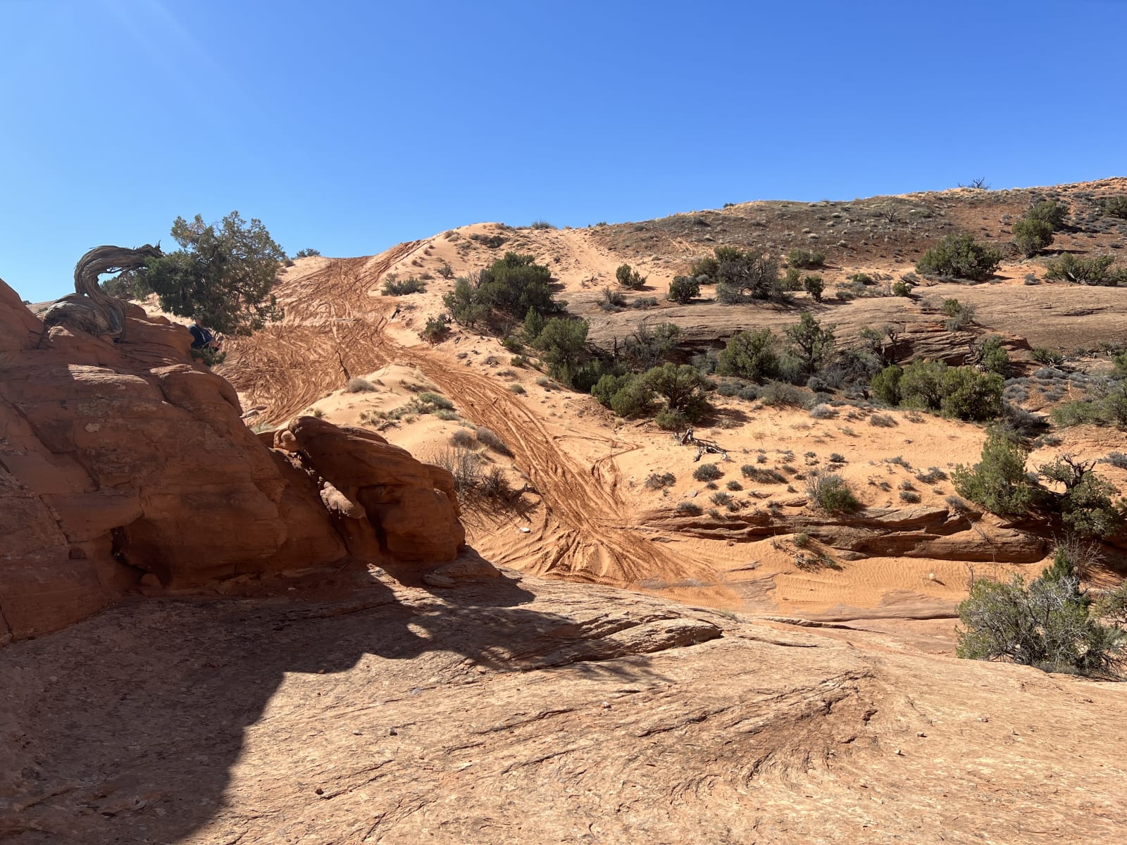 Trail gallery photo