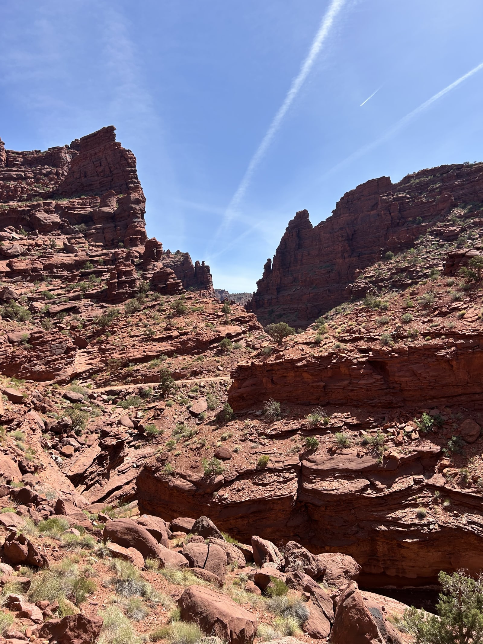 Trail gallery photo