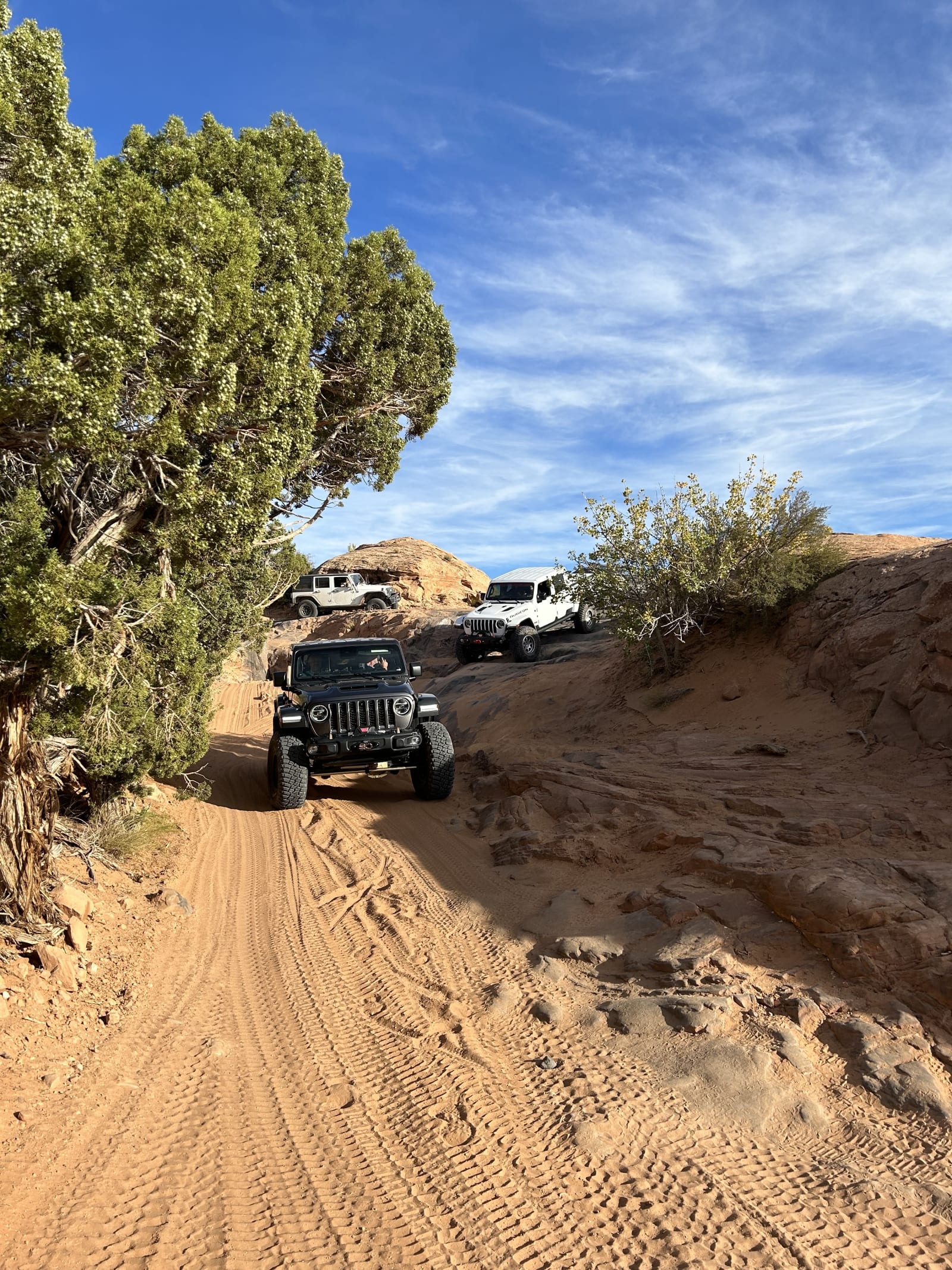 Trail gallery photo