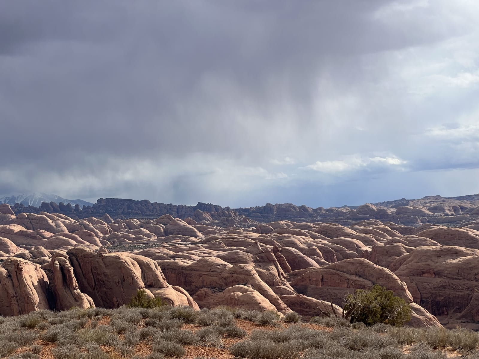 Trail gallery photo