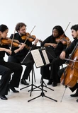 Stretto Arts for Chamber Music Ensembles