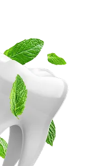 Tooth surrounded by floating green mint leaves on a transparent background.