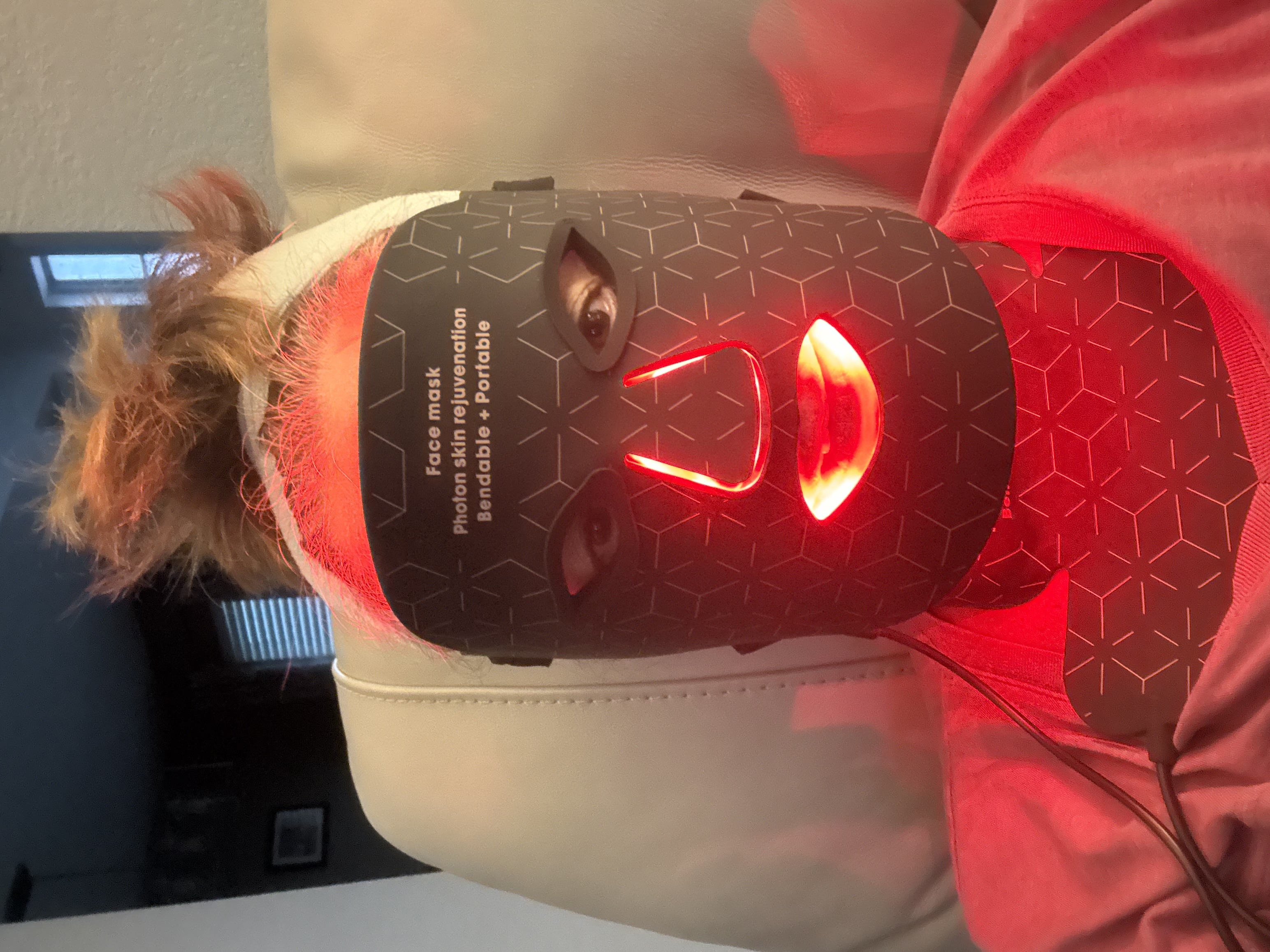 Blackbird Glow Mask