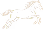 Silhouette of a horse jumping, illustrated in a light beige color on a black background.