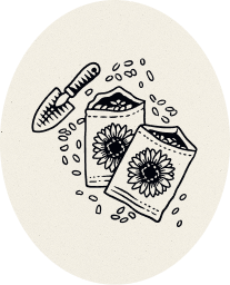 Two seed packets with sunflower illustrations and scattered seeds next to a garden trowel.