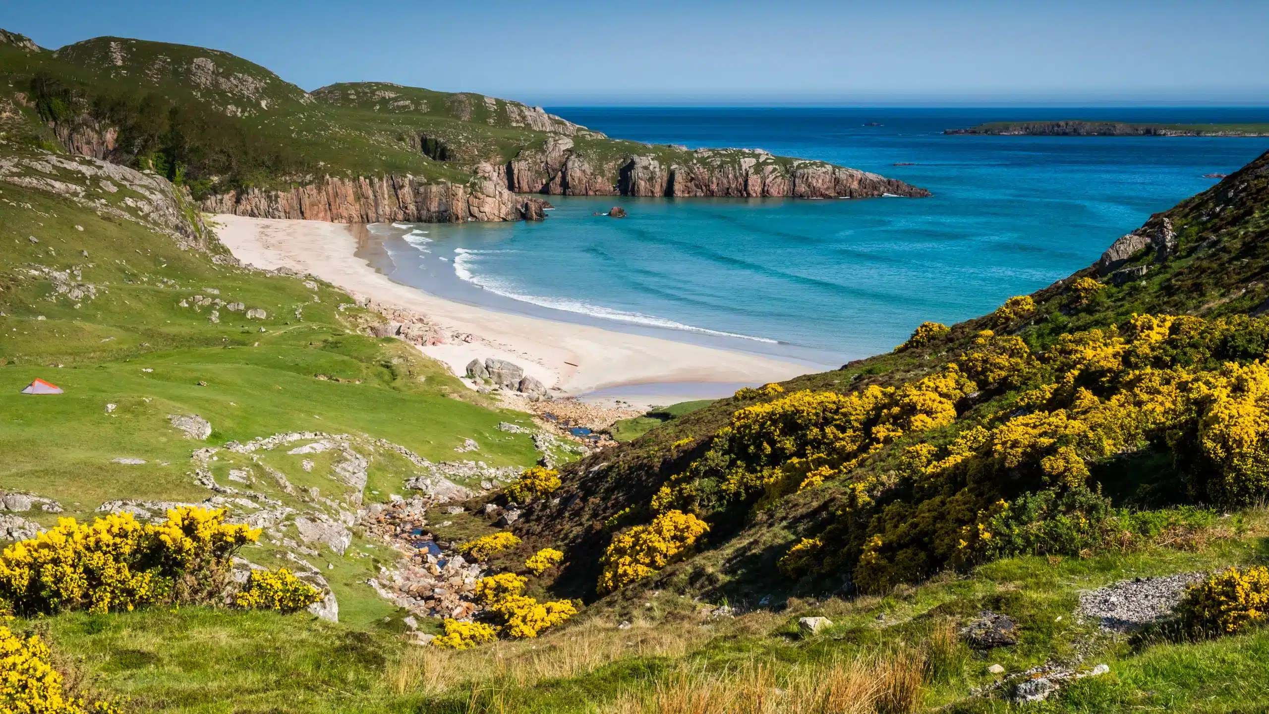 Secluded Scottish beach cove with turquoise water and yellow gorse in bloom