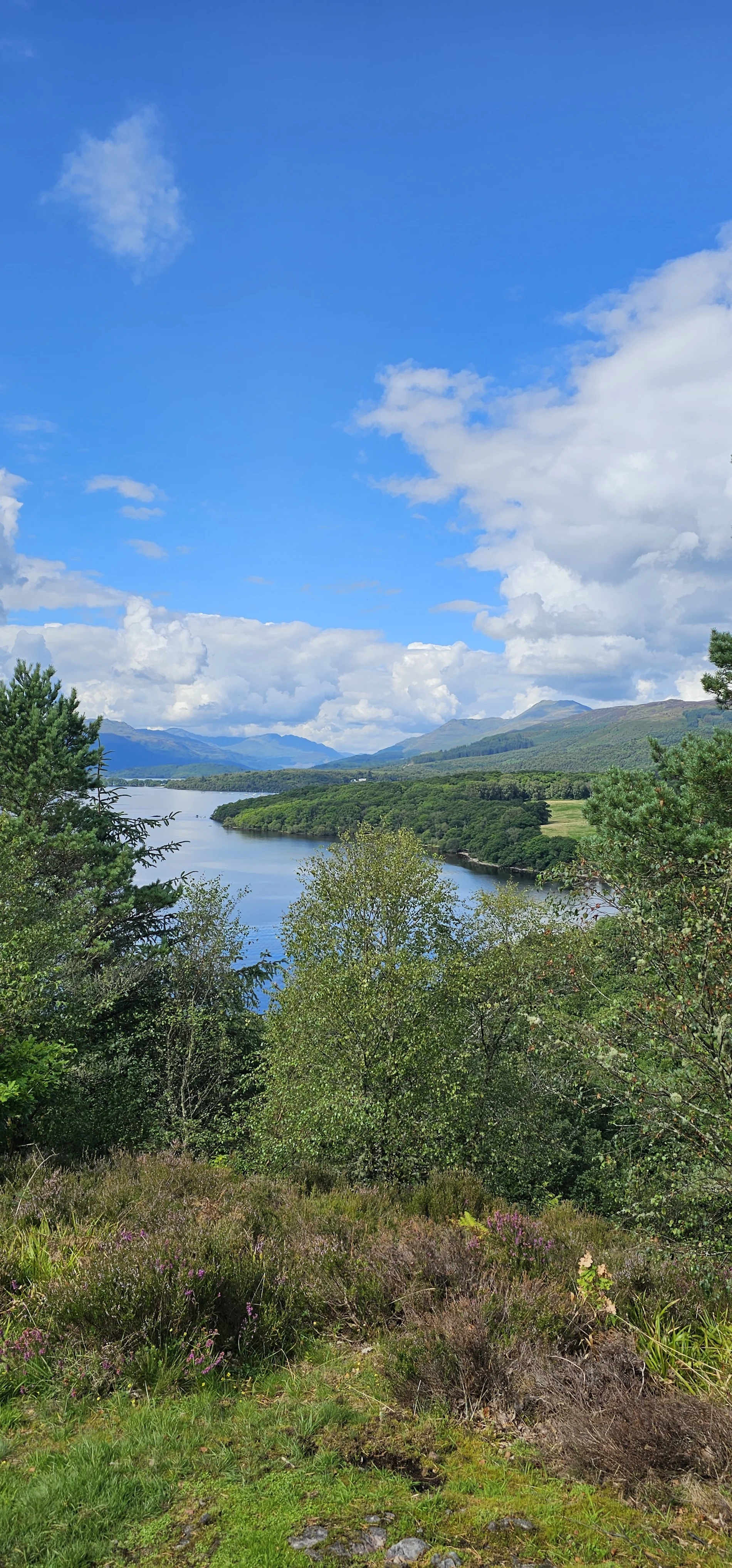 Scottish Highland loch with mountains and forested shores under blue sky