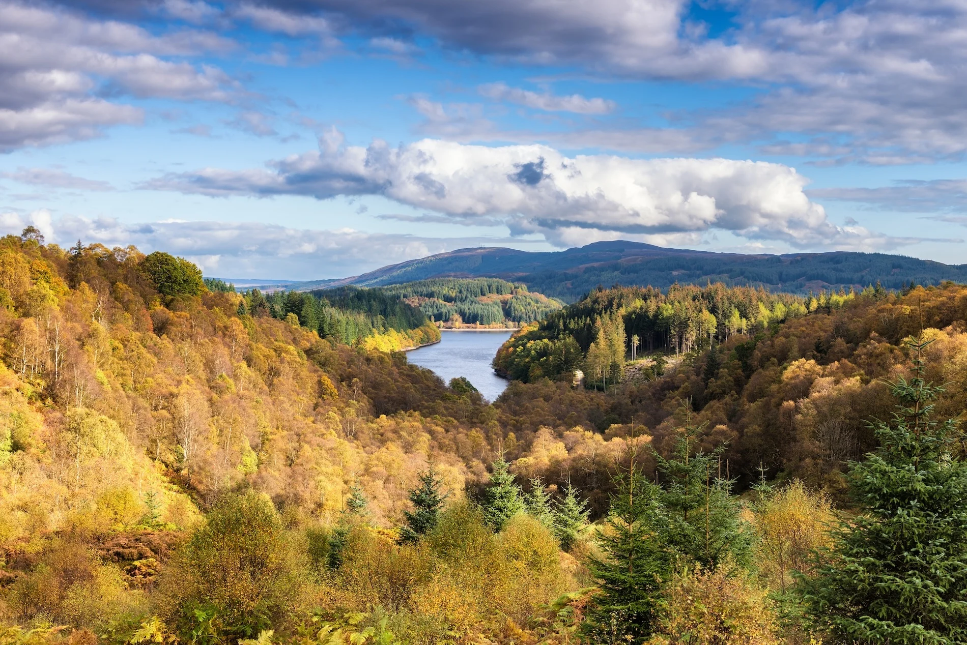 Scottish highlands with autumn forest, lake, and distant mountains under blue sky
