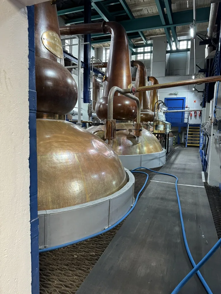 Large copper whisky stills in a Scottish distillery production facility