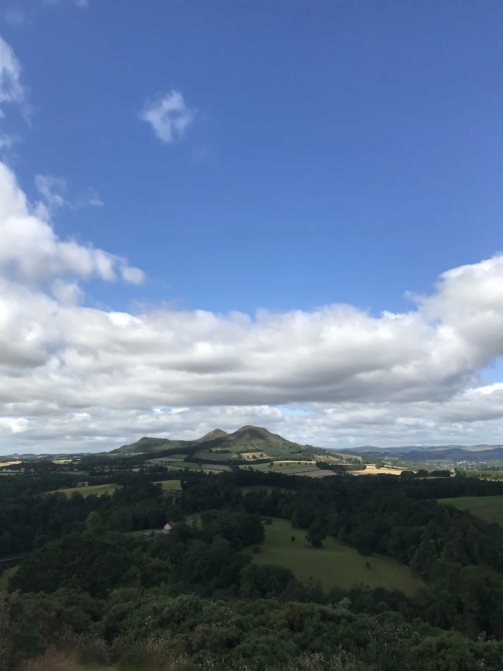 Scotts View