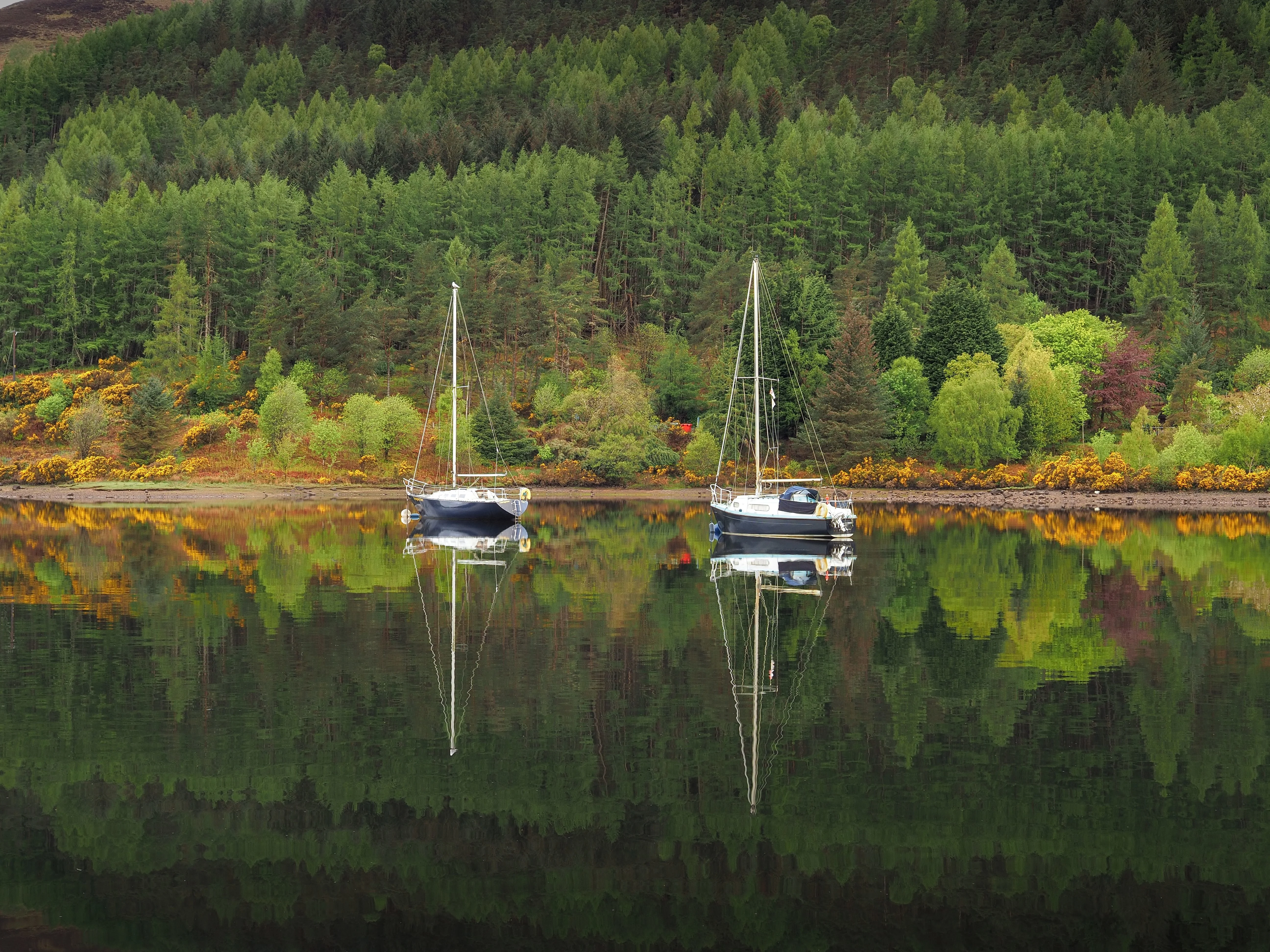 Loch Eck