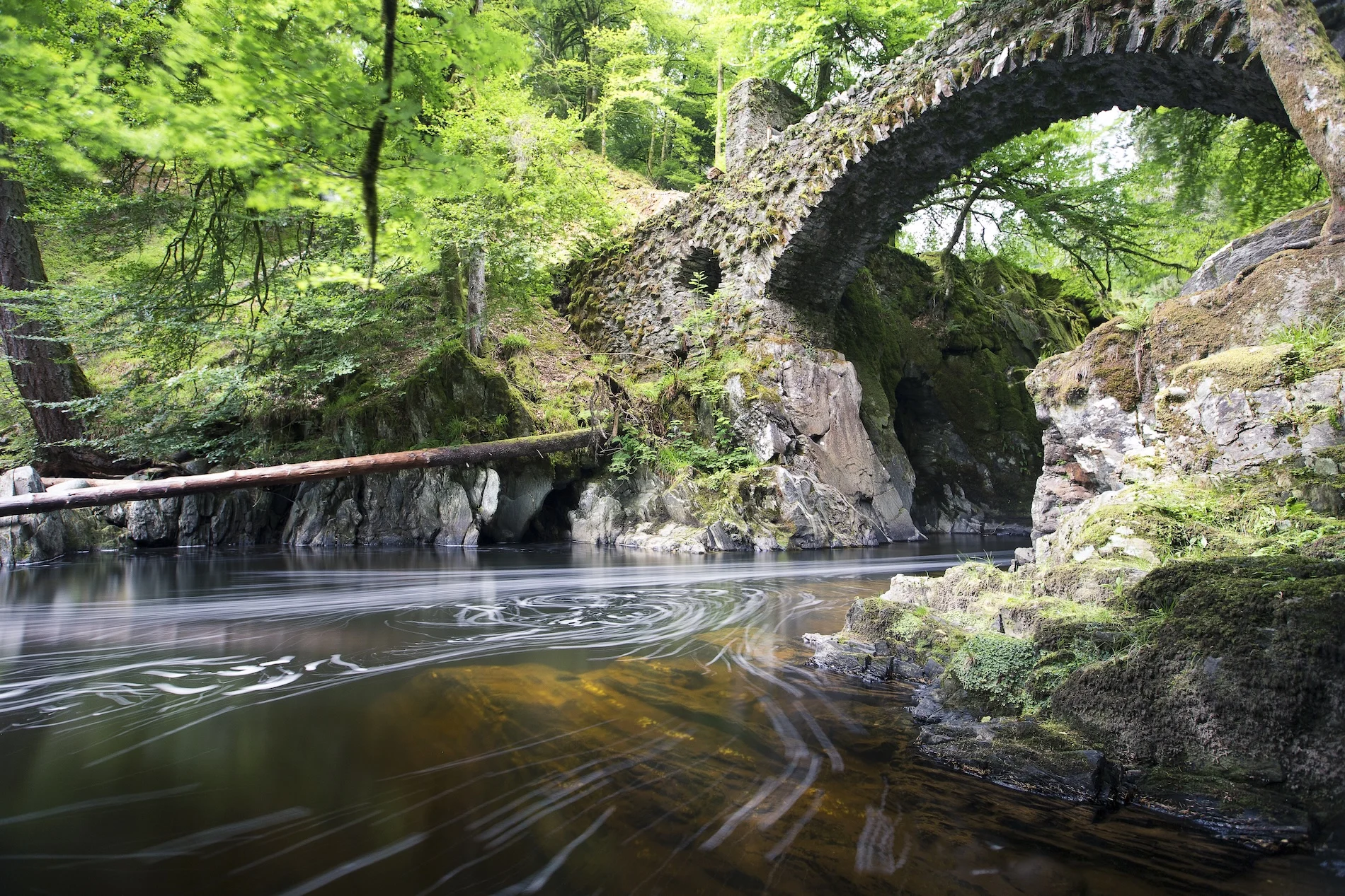 The Hermitage