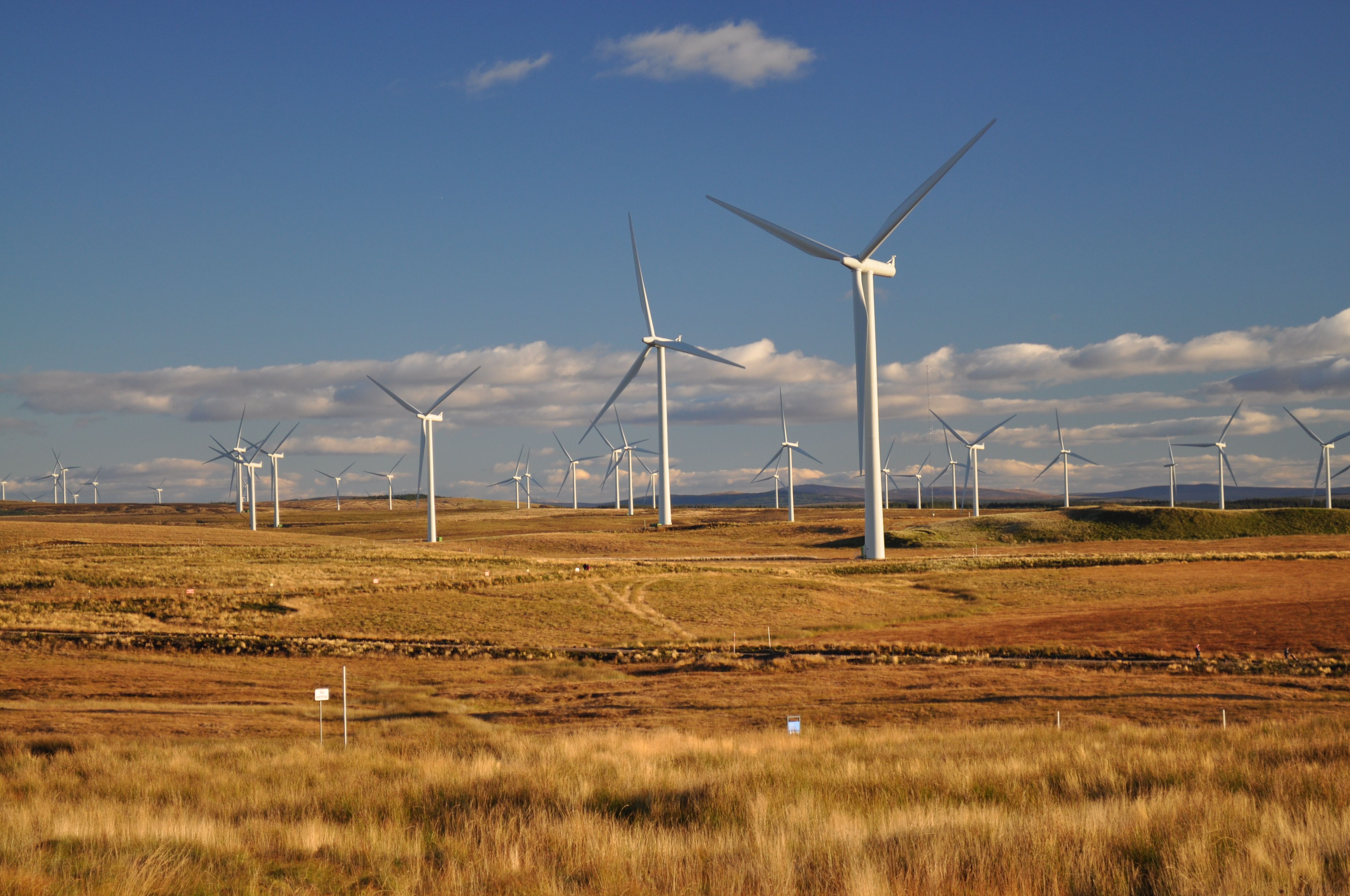Whitelee Wind Farm