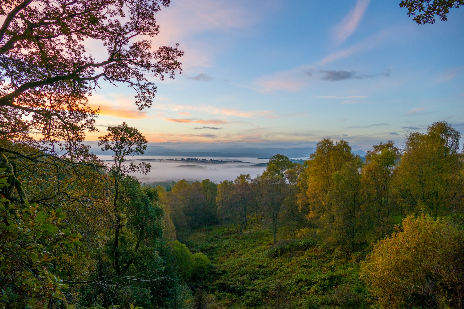 Aberfoyle