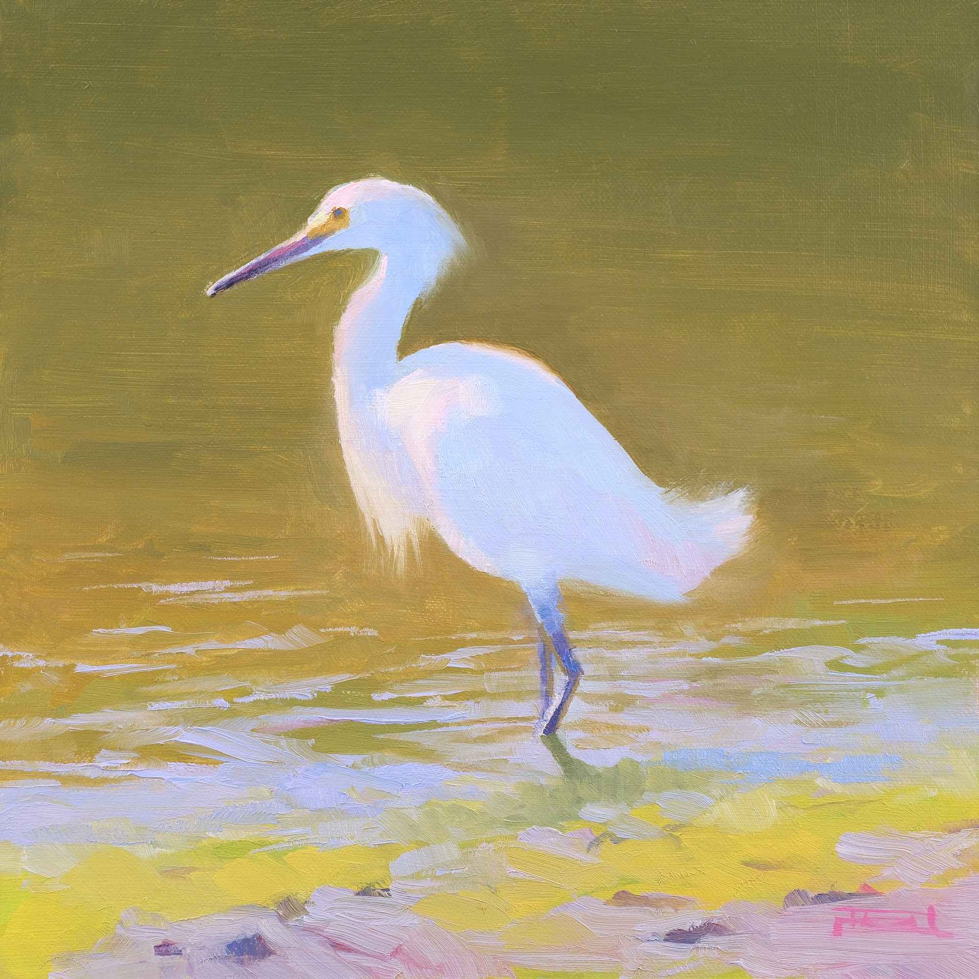 Bodega Bay Local