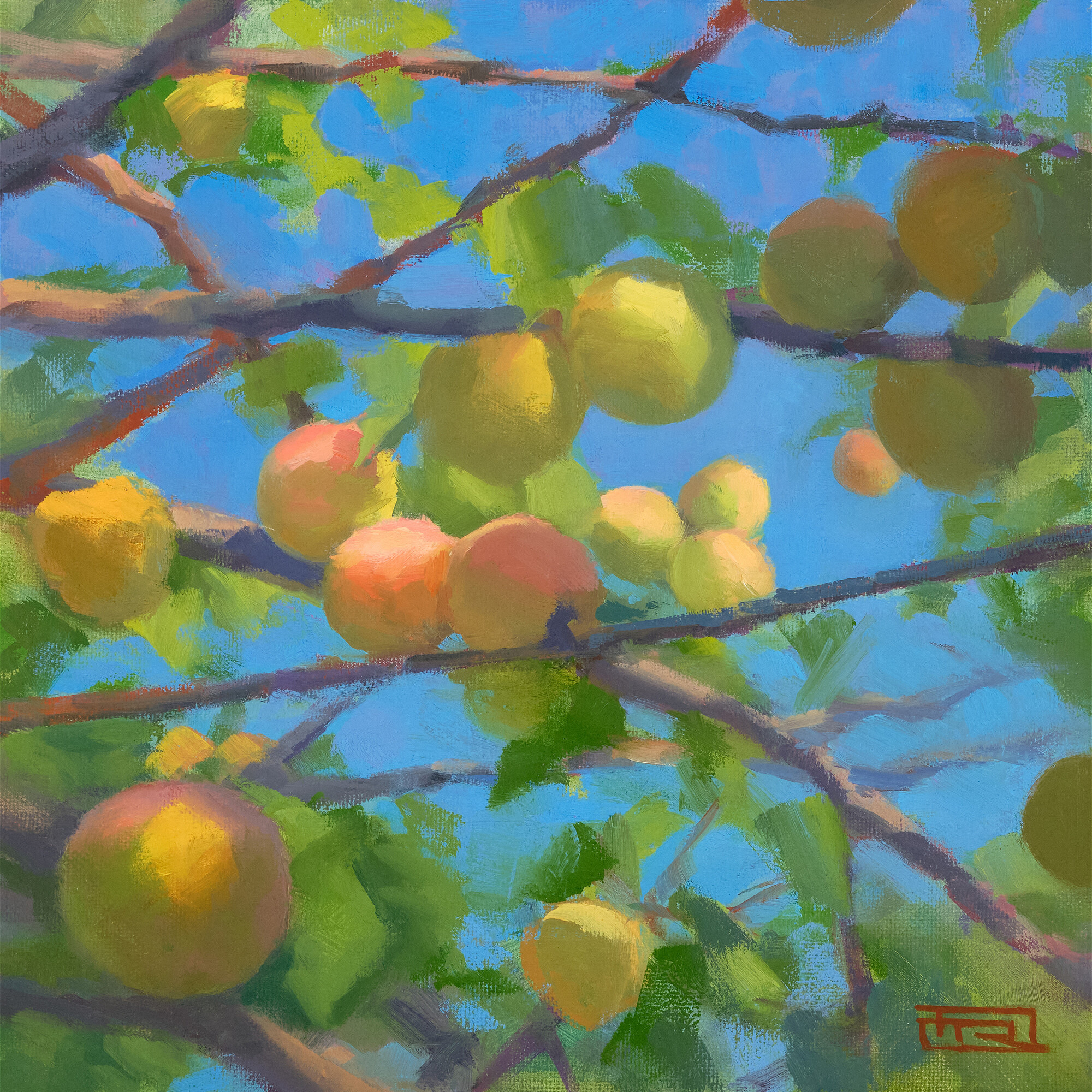 Petaluma Peaches