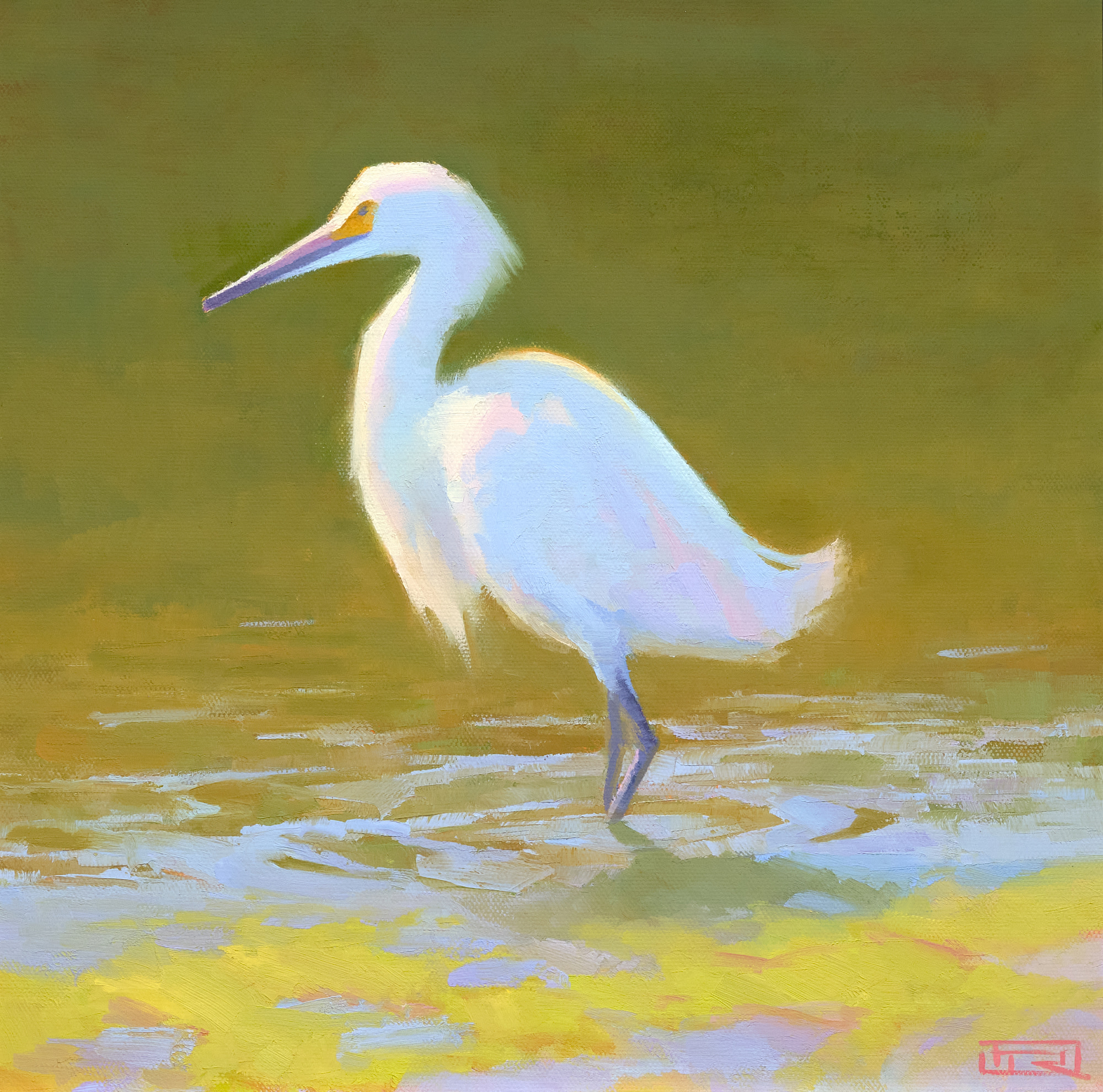 Snowy Egret