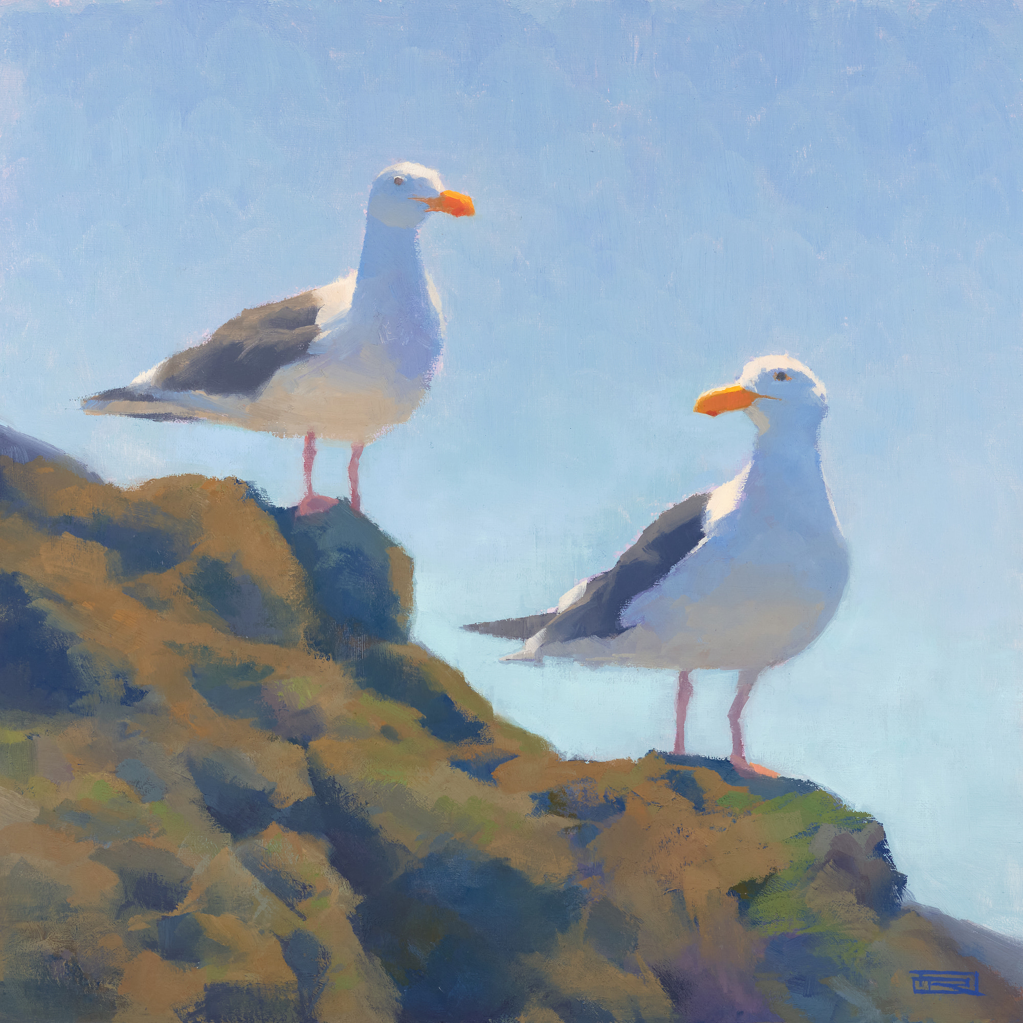 Gull Friends