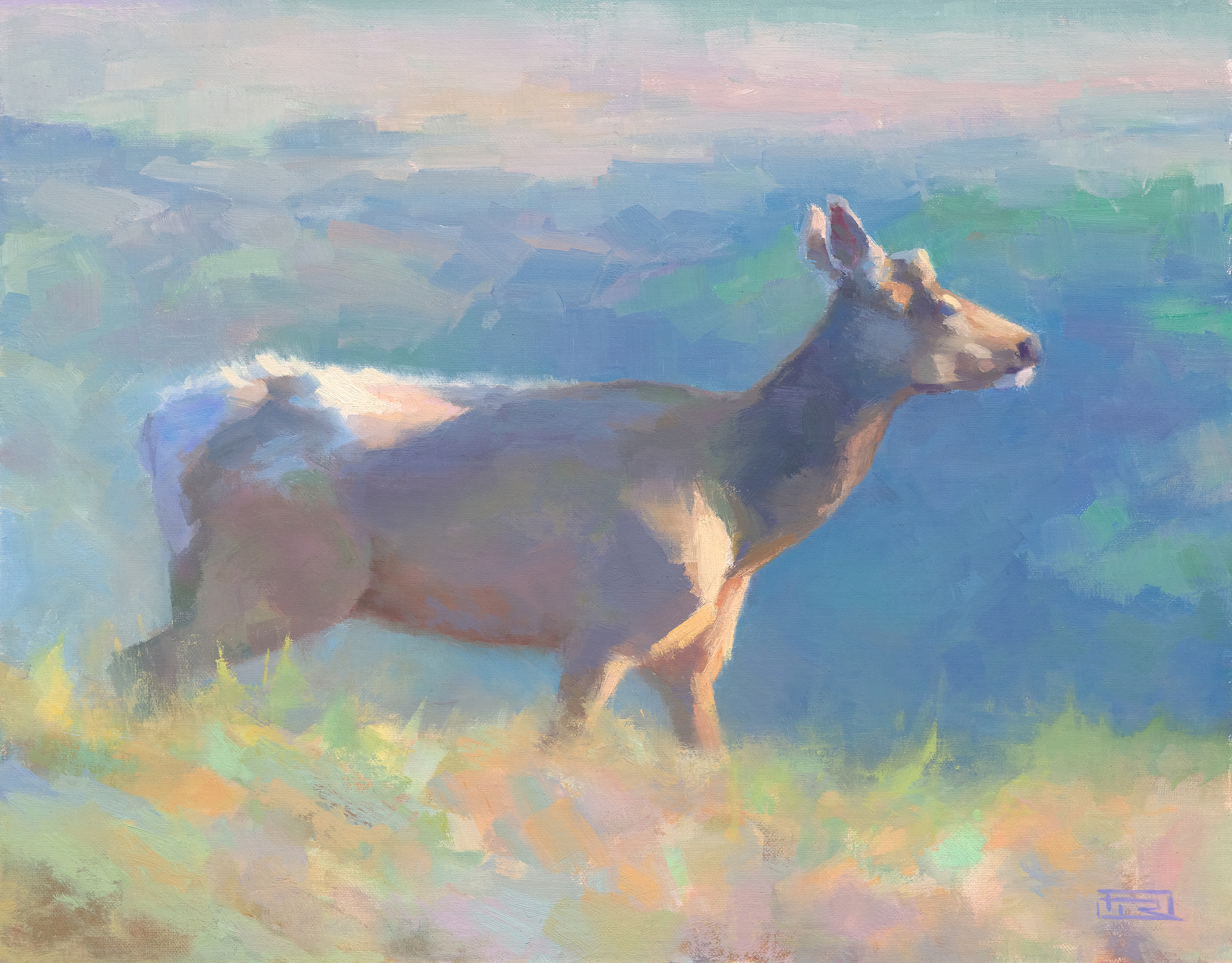 Tule Elk