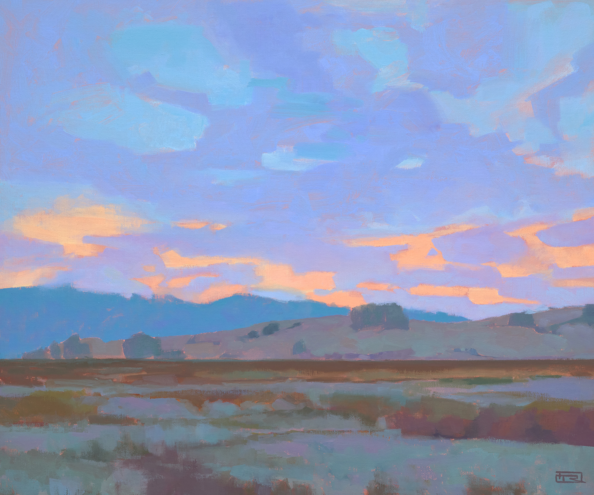 Patchwork Sky