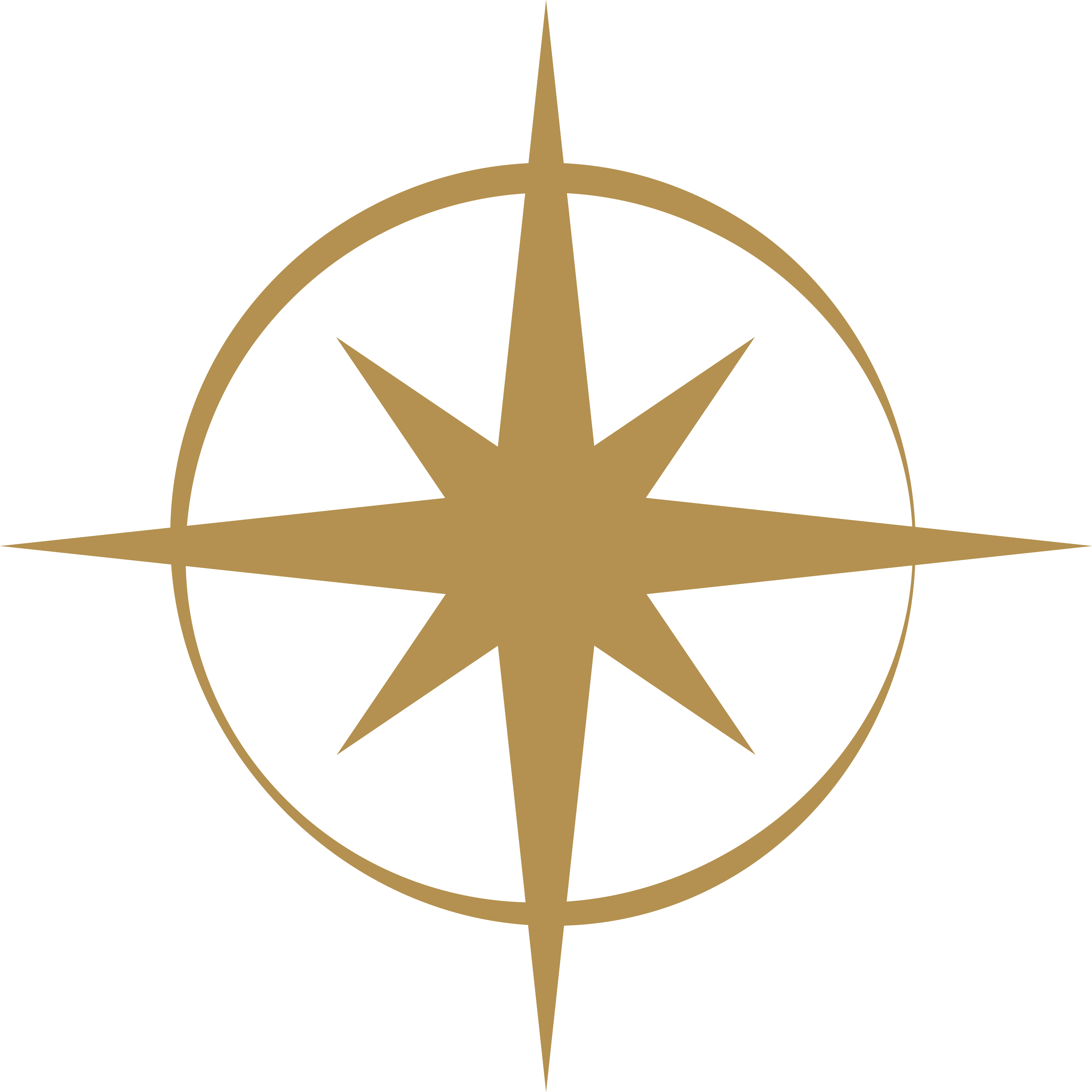 Visir compass