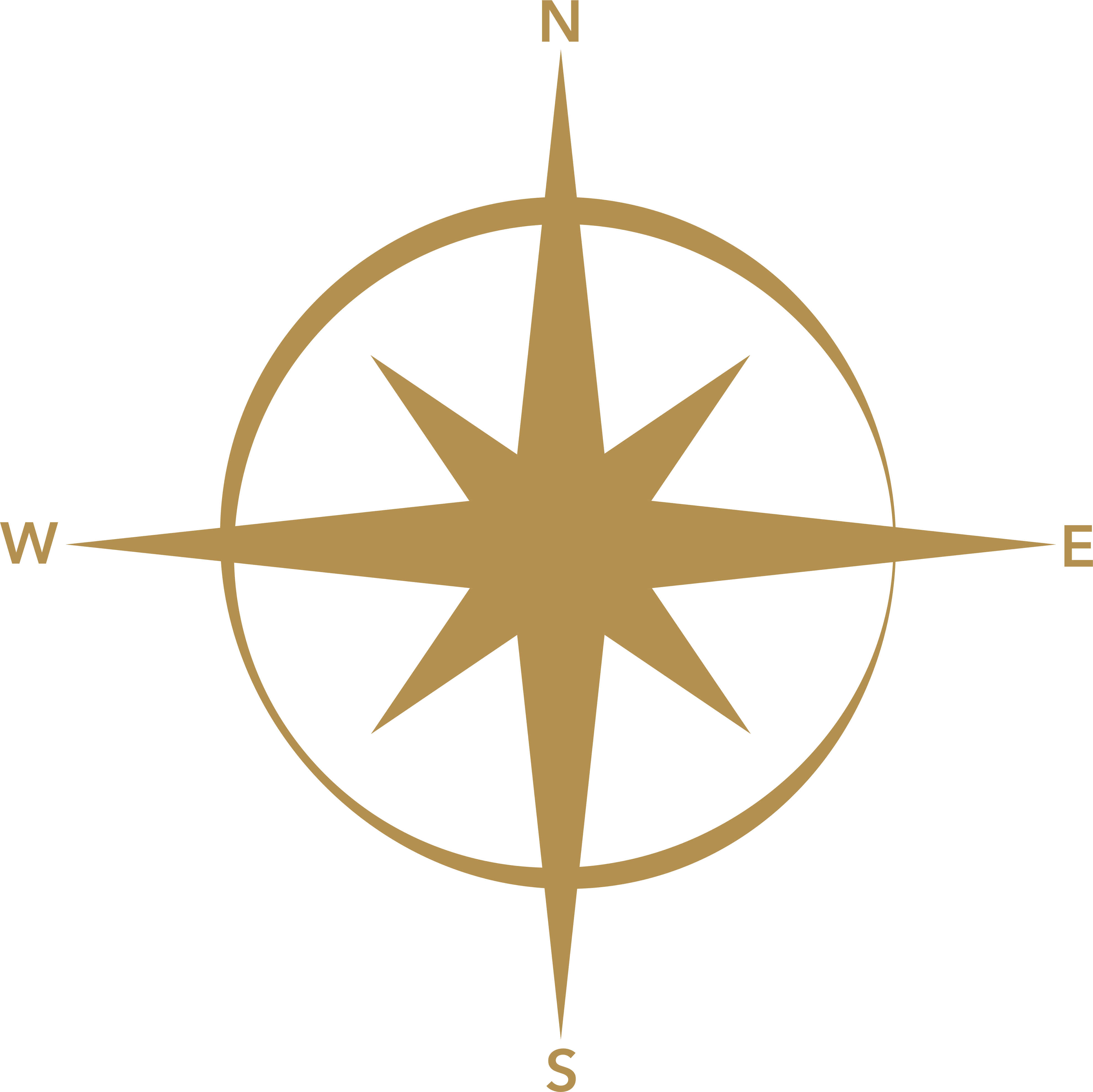 Visir compass