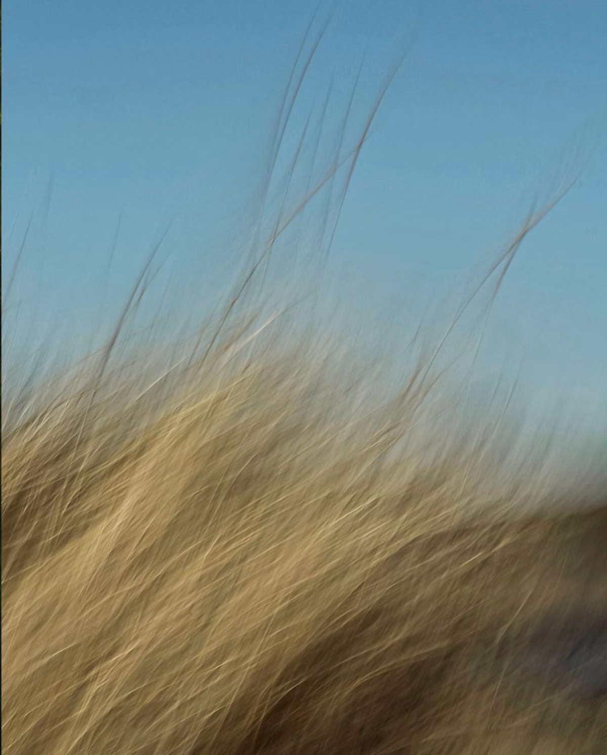 hay next to blue sky