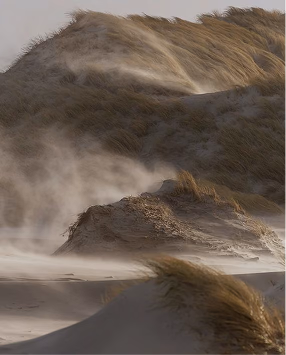 wind in sand dune