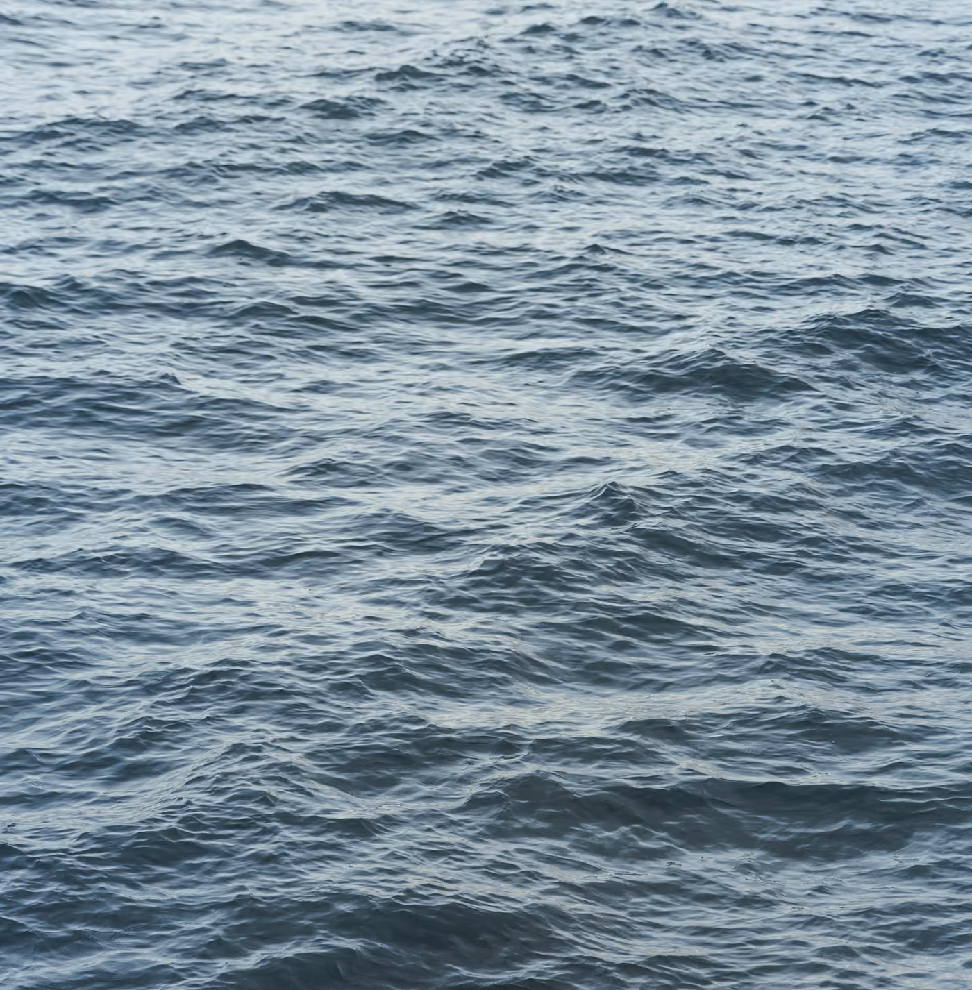 Blue ocean