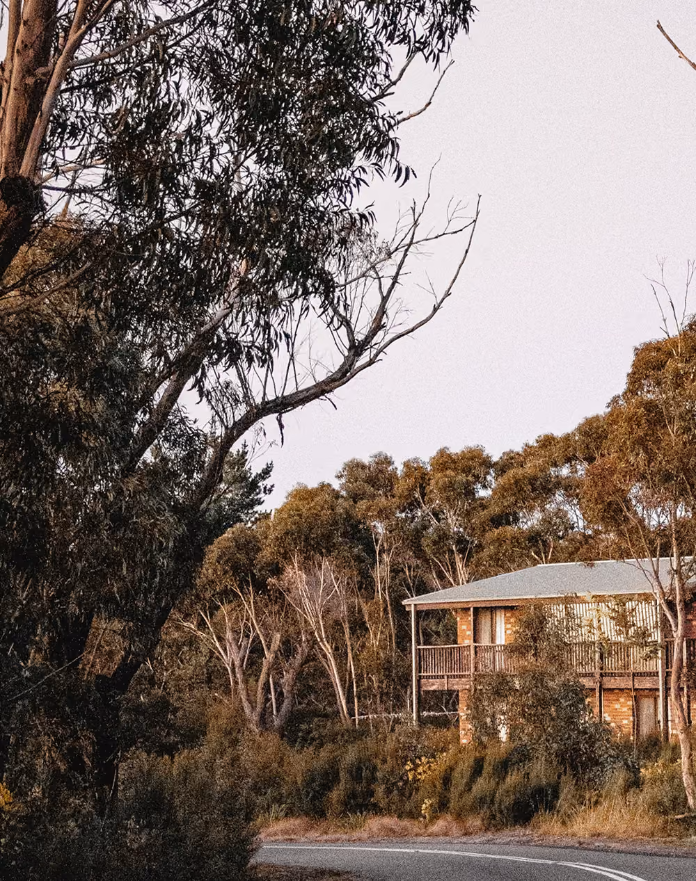 house in australian bushland