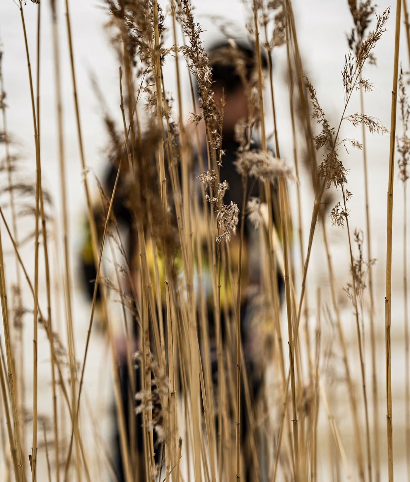 man walking through hay fields