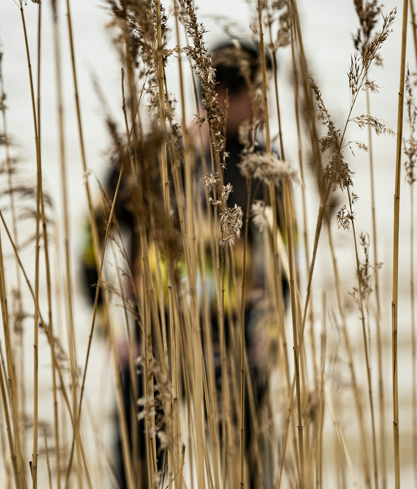 man walking through hay fields