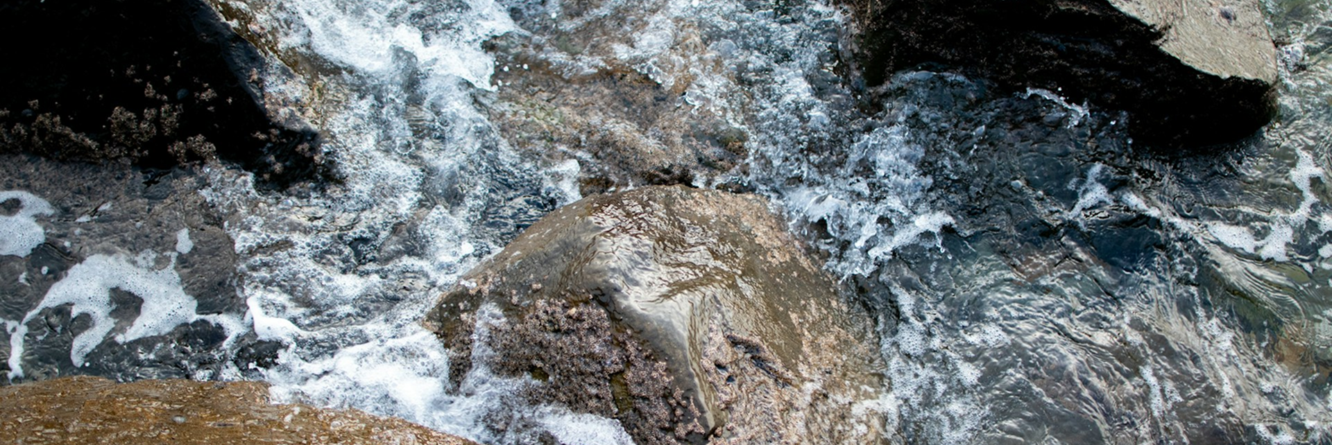 close up rocks and ocean