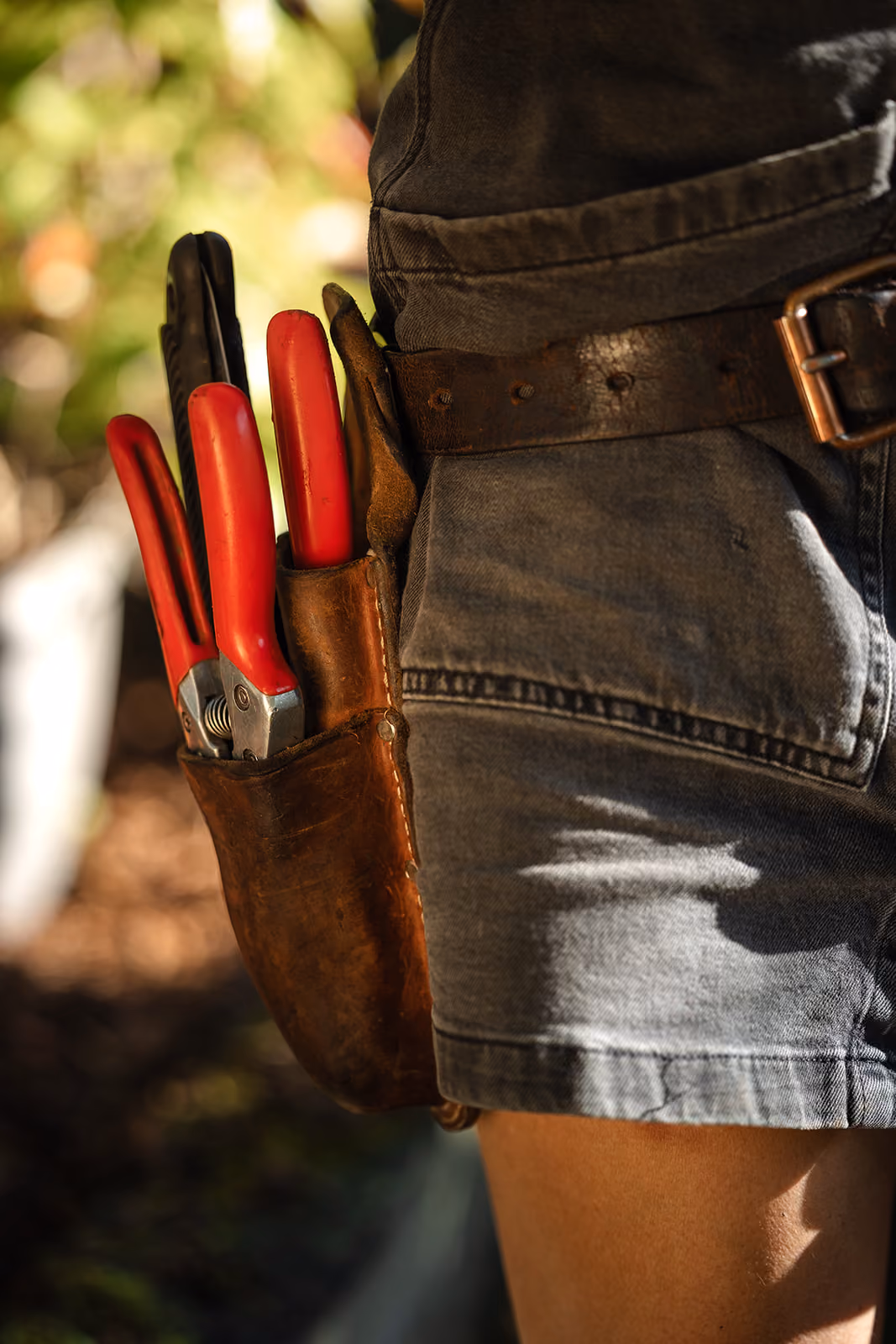 Gartenschere und rote Werkzeuge stecken in einem braunen Ledergürtelholster an der Seite einer Person in Jeansshorts.