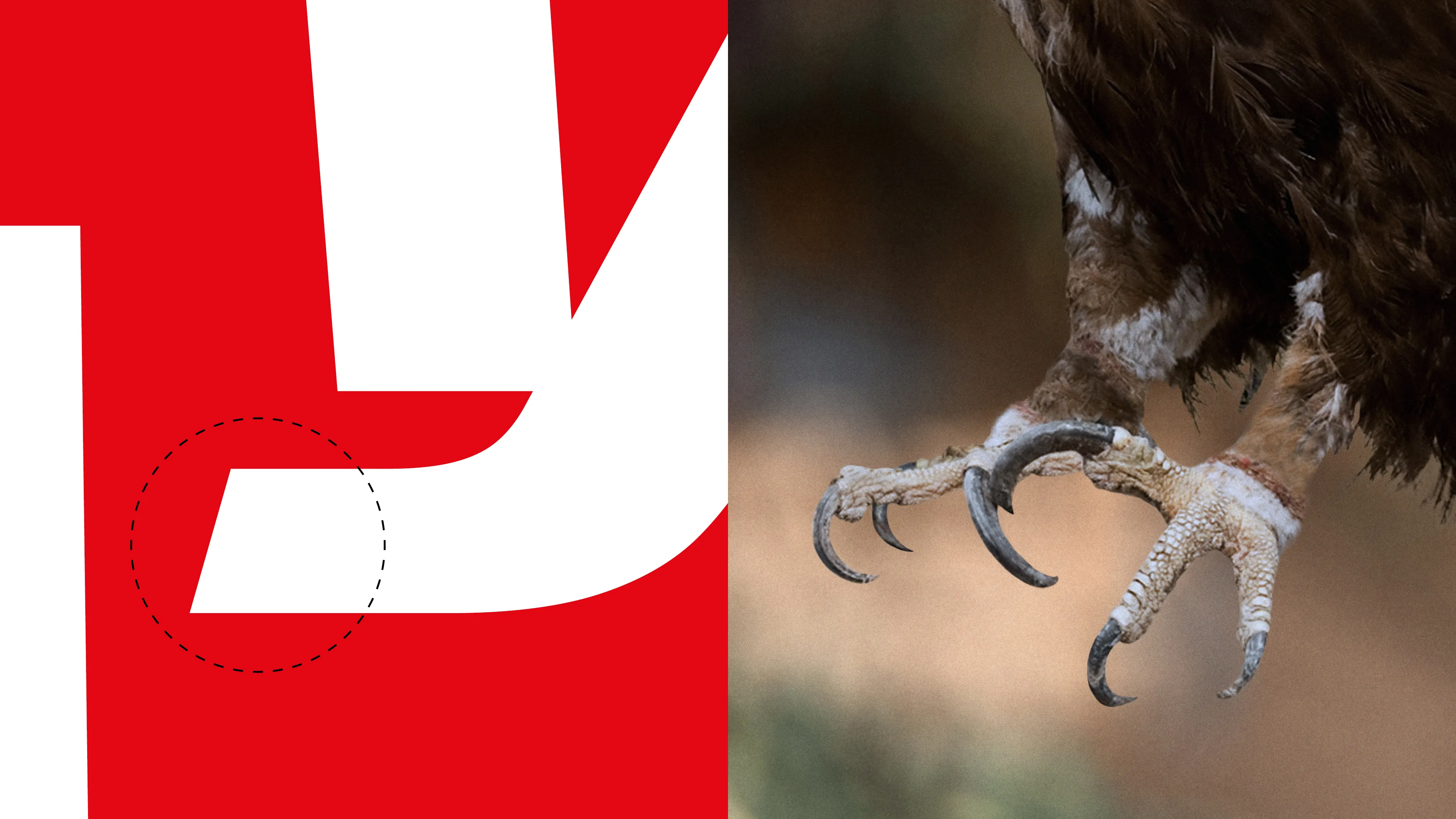 Zu sehen ist auf der linken Seite das kleine "Y" der Eintracht-Headline. Rechts ist ein Bild von Adlerkrallen zu sehen. Das kleine "Y" soll die Krallen des Adlers symbolisieren.