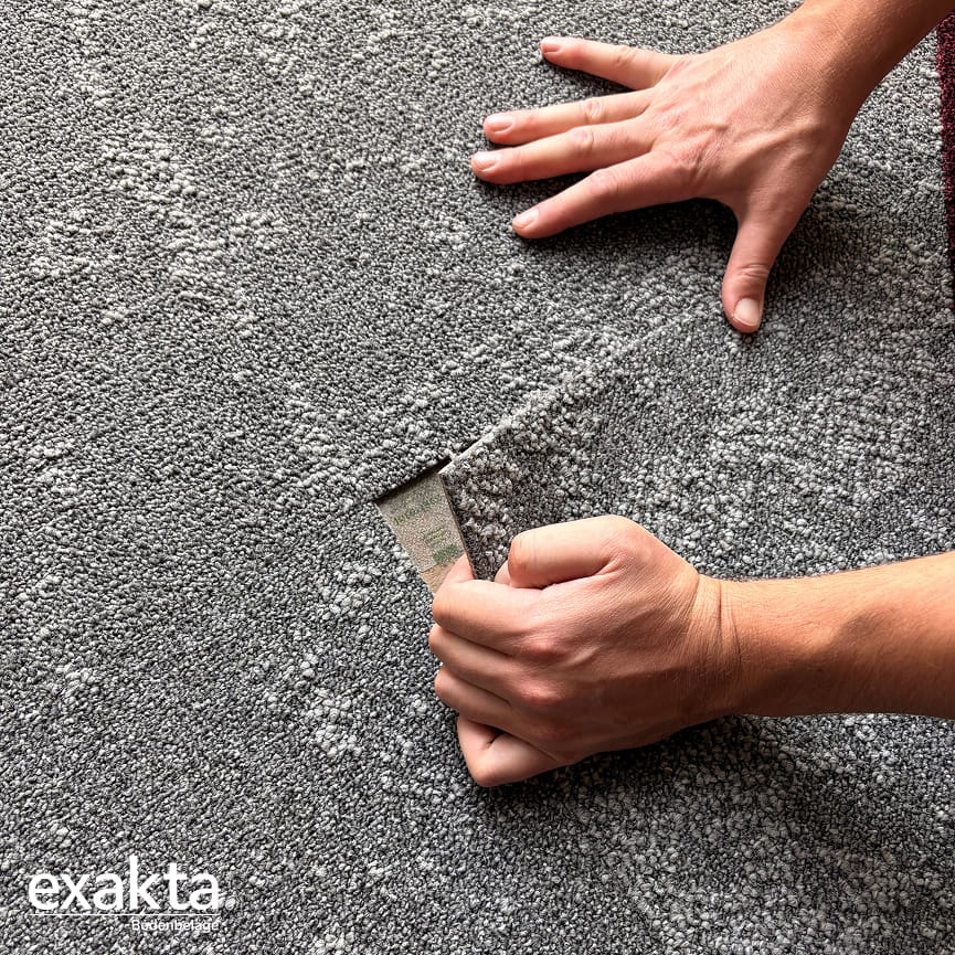 | exakta