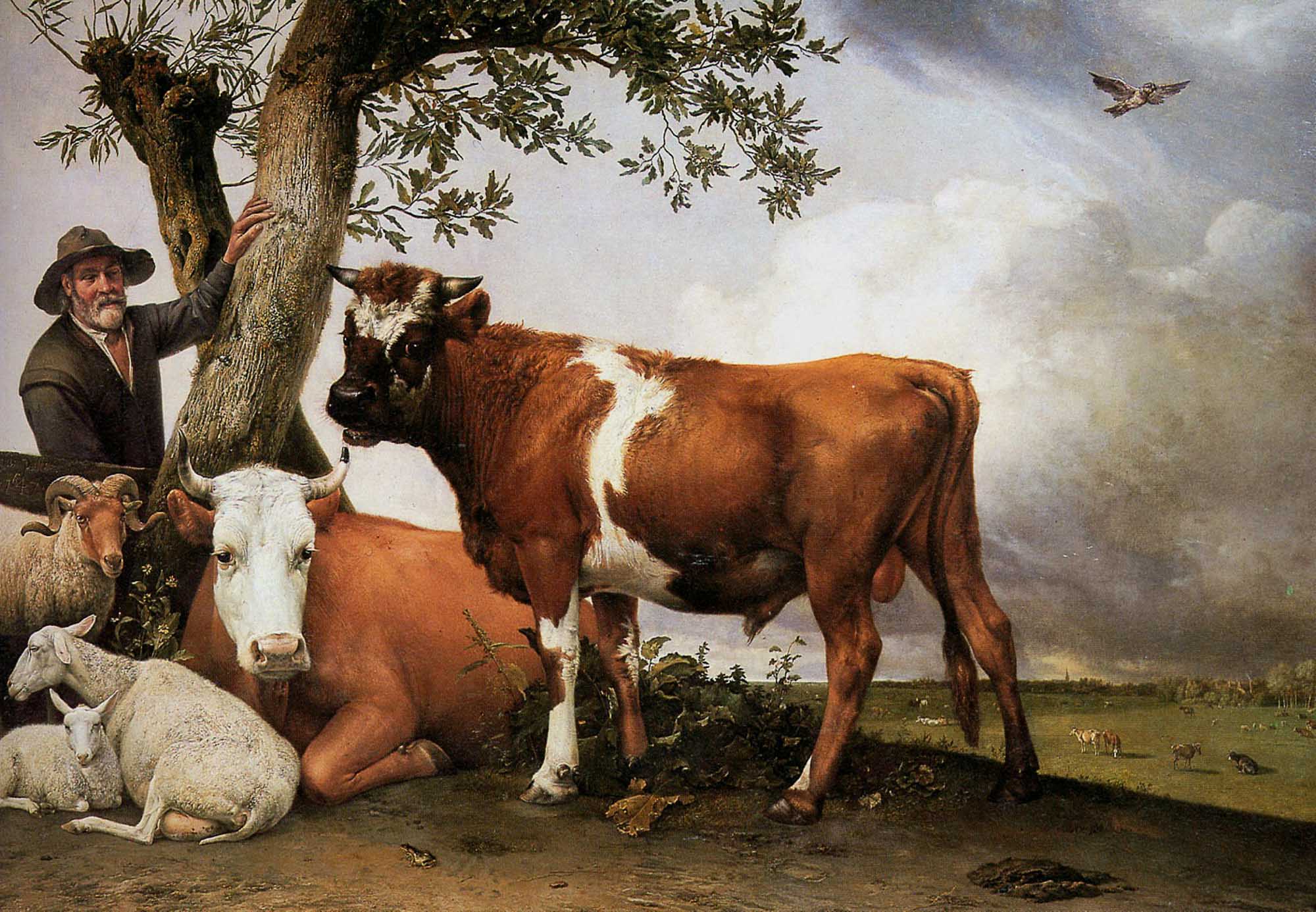 Schijtbeleid