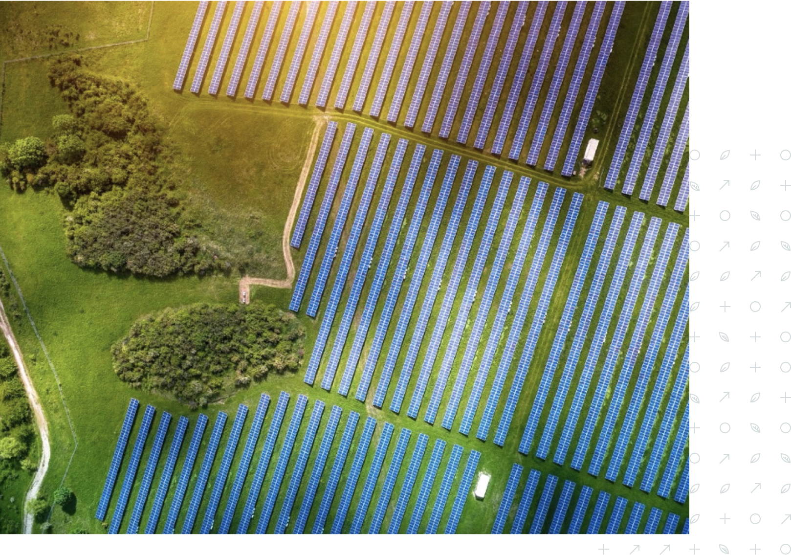Aerial view of a solar farm with rows of blue solar panels next to green grassy areas and small trees.